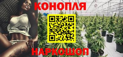 гашик Бузулук
